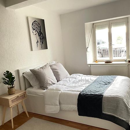 Appartement La Petite Venise Colmar Eksteriør billede