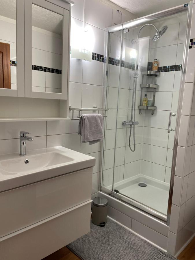 Appartement La Petite Venise Colmar Eksteriør billede